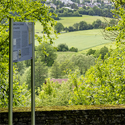 Maria-Zeitler-Pfad in Mosbach