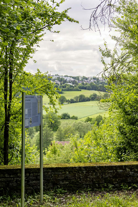 Station 7 des Maria-Zeitler-Pfads: Der Panoramablick