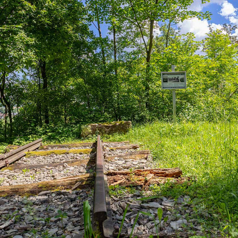 Die Station Eisenbahnbrücke auf dem Goldfischpfad bei Obrigheim. 