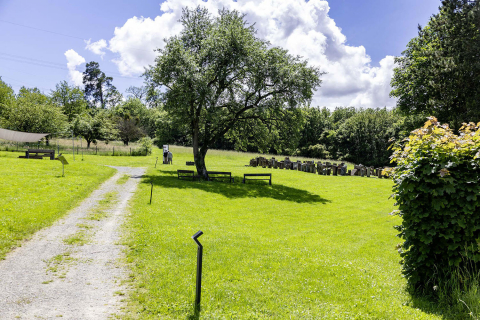 Das Gelände des Mahnmals Neckarzimmern