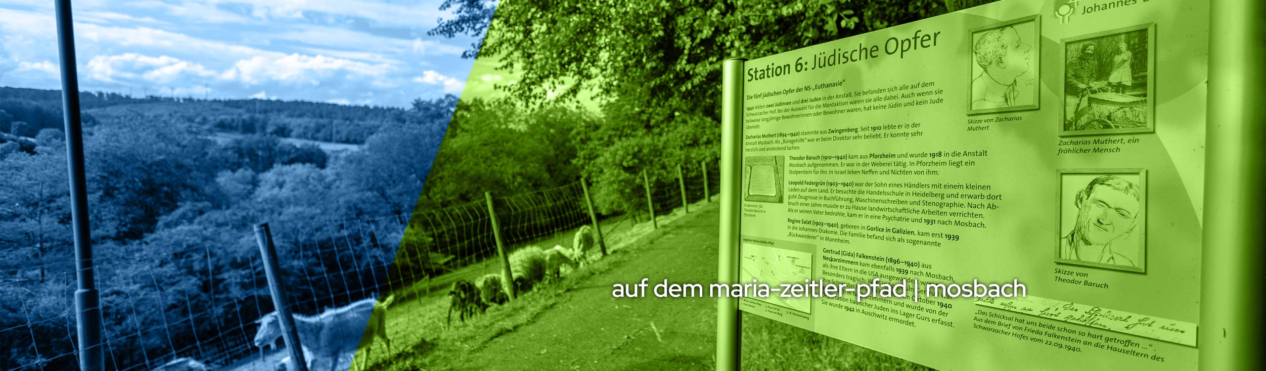 Gedenken auf dem Maria-Zeitler-Pfad in Mosbach